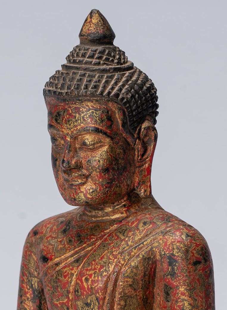 Estatua de Buda - Estatua de Buda de la Madera de Madera Asia ASIA ASIA ASIA ASIA - 21cm/8 "